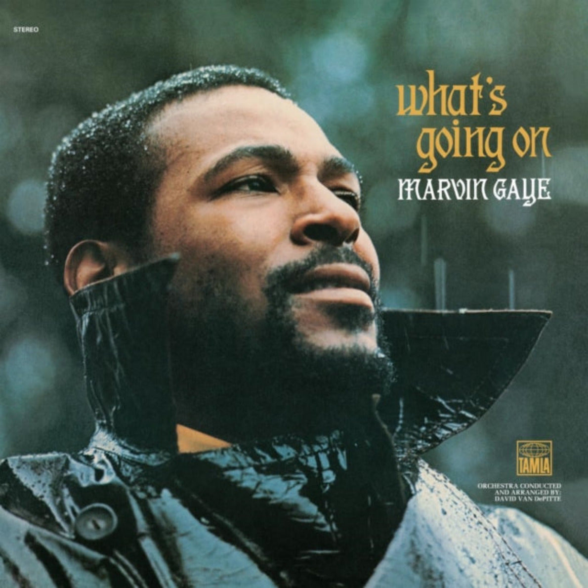 Marvin Gaye - WHAT'S GOING ON (50 year anniversary edition) 2xLP