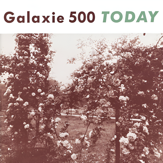 Galaxie 500 - TODAY LP