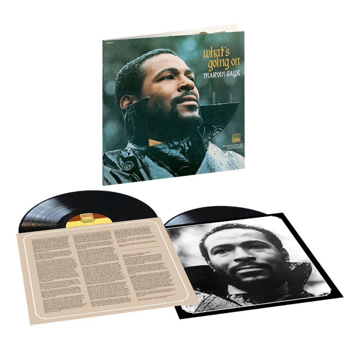 Marvin Gaye - WHAT'S GOING ON  (50 year anniversary edition) 2xLP